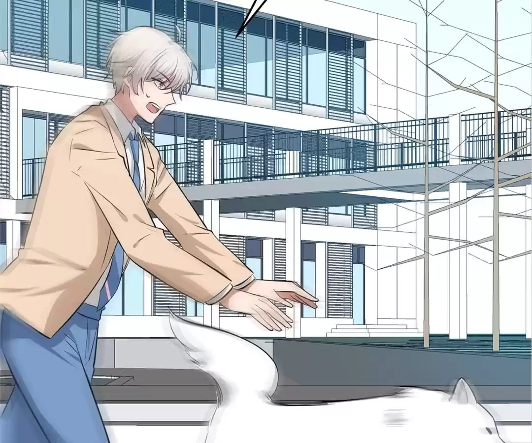 Read 100-Day Dating Plan chapter 31 image 15 on Lezhin