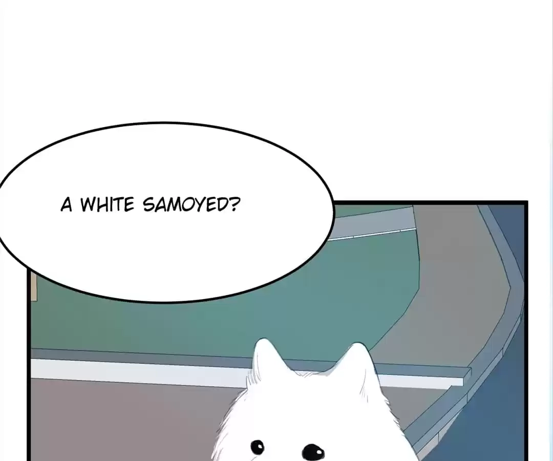 Read 100-Day Dating Plan chapter 31 image 8 on Lezhin