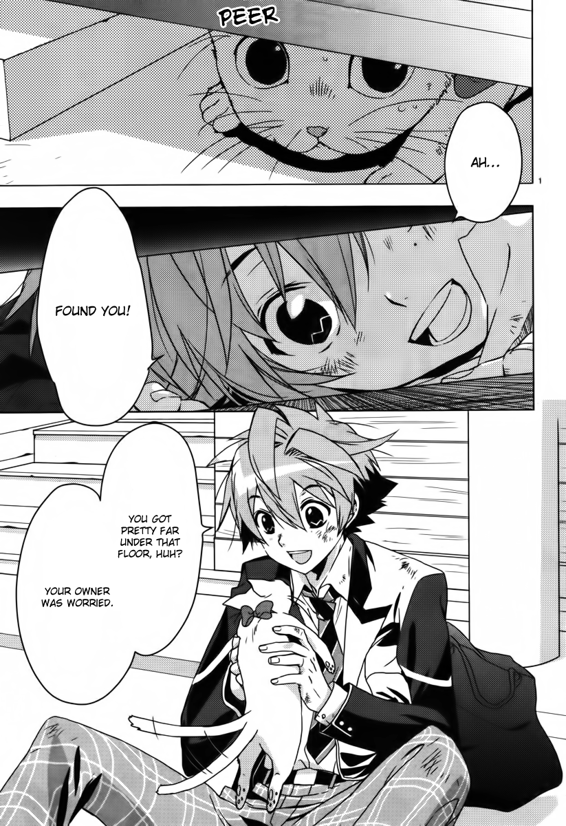 Read 1001 Knights chapter 1 image 3 on Lezhin