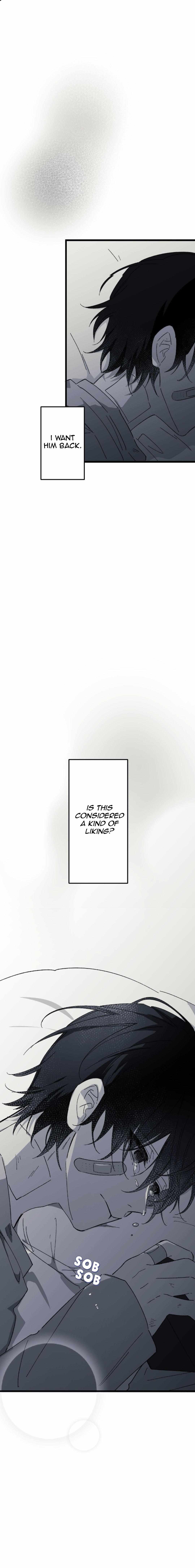 16647 Chapter 31 page 19 - 