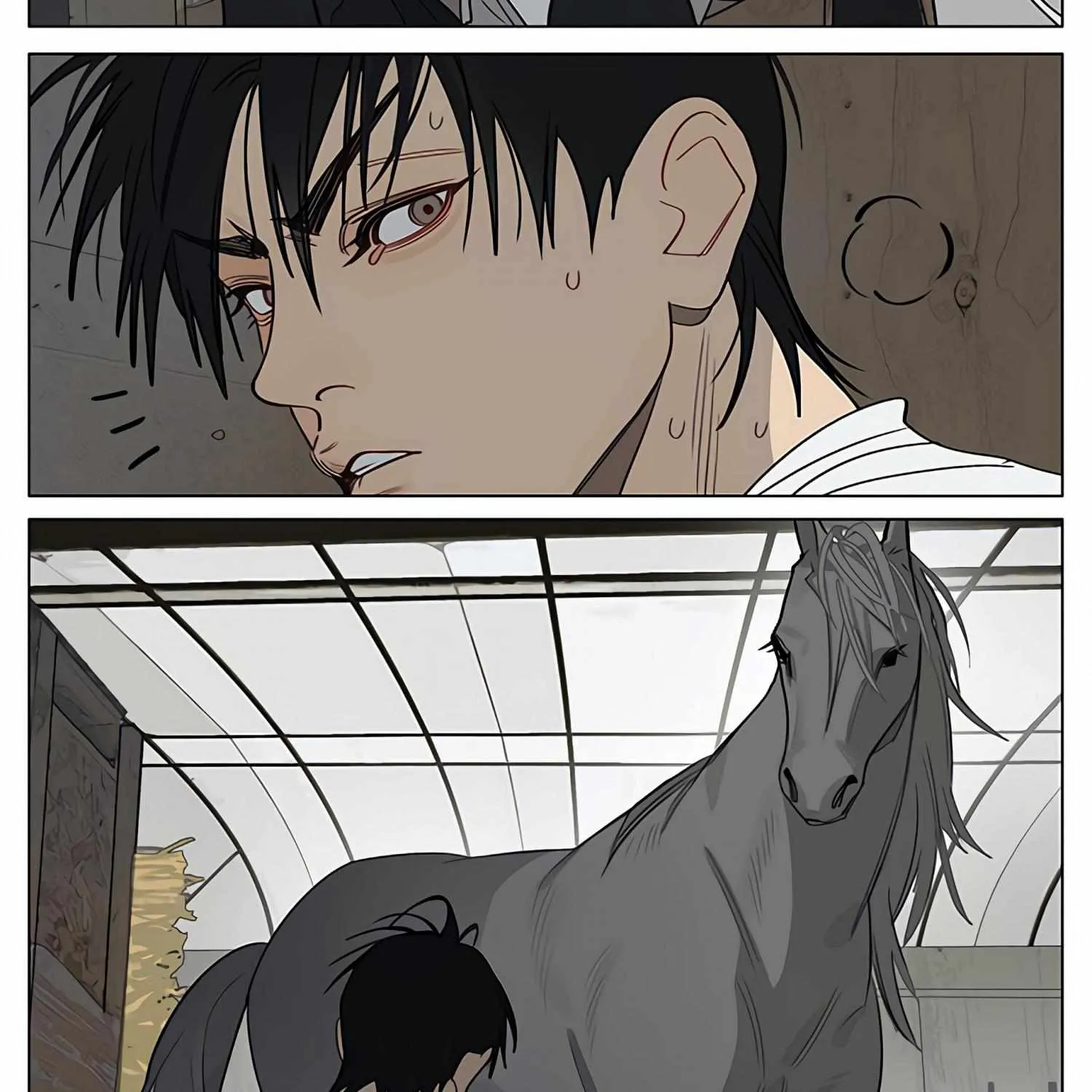 Read 19 Days chapter 436 image 6 on Lezhin