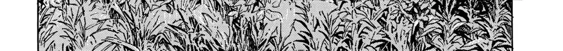 20 Seiki Shounen (Perfect Edition) Chapter 11 page 340 - 
