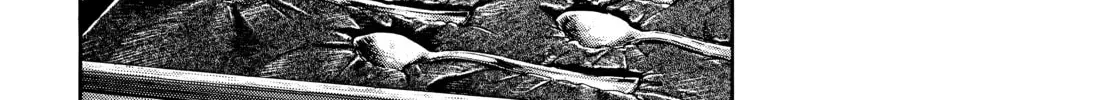 20 Seiki Shounen (Perfect Edition) Chapter 7 page 636 - 
