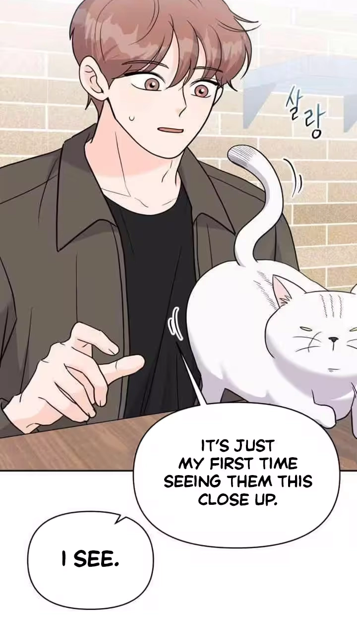 Read 24 Hour Handsome Man chapter 12 image 40 on Lezhin