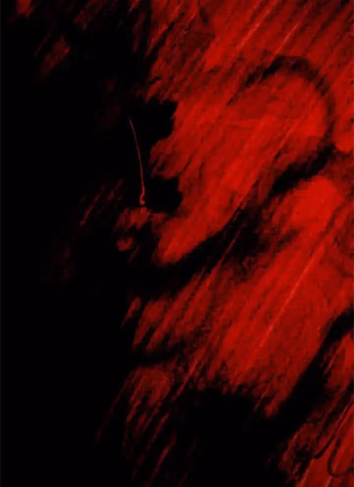 Read 30 Second Demon King chapter 44 image 69 on Lezhin