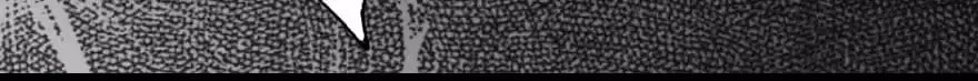 Read 300 Beats Per Second chapter 16 image 80 on Lezhin
