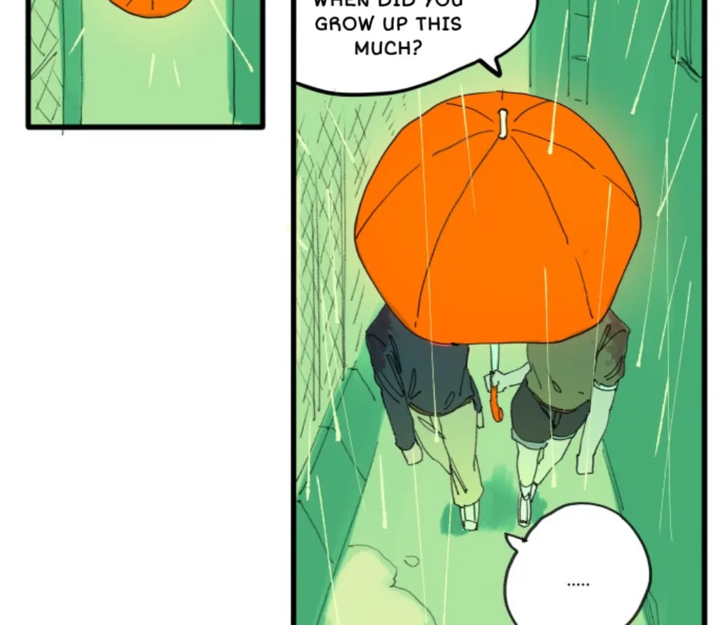 335KM Chapter 16 page 46 - 