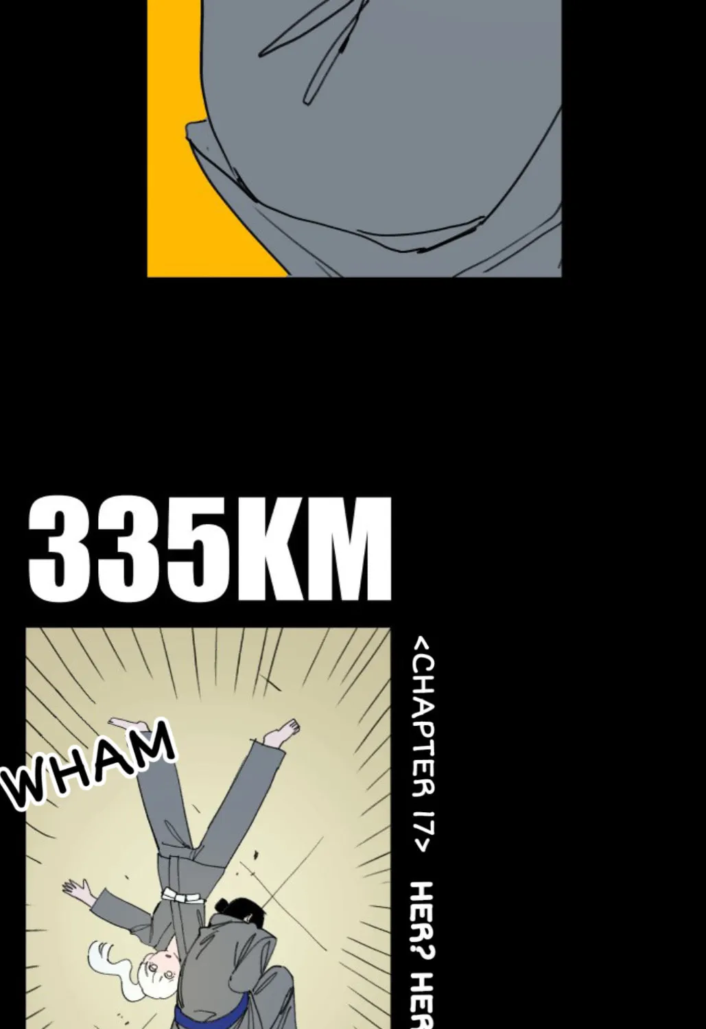 335KM Chapter 17 page 3 - 