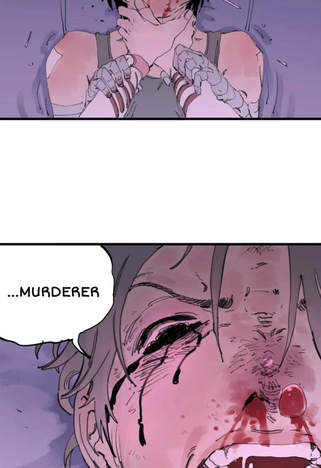 335KM Chapter 22 page 35 - 