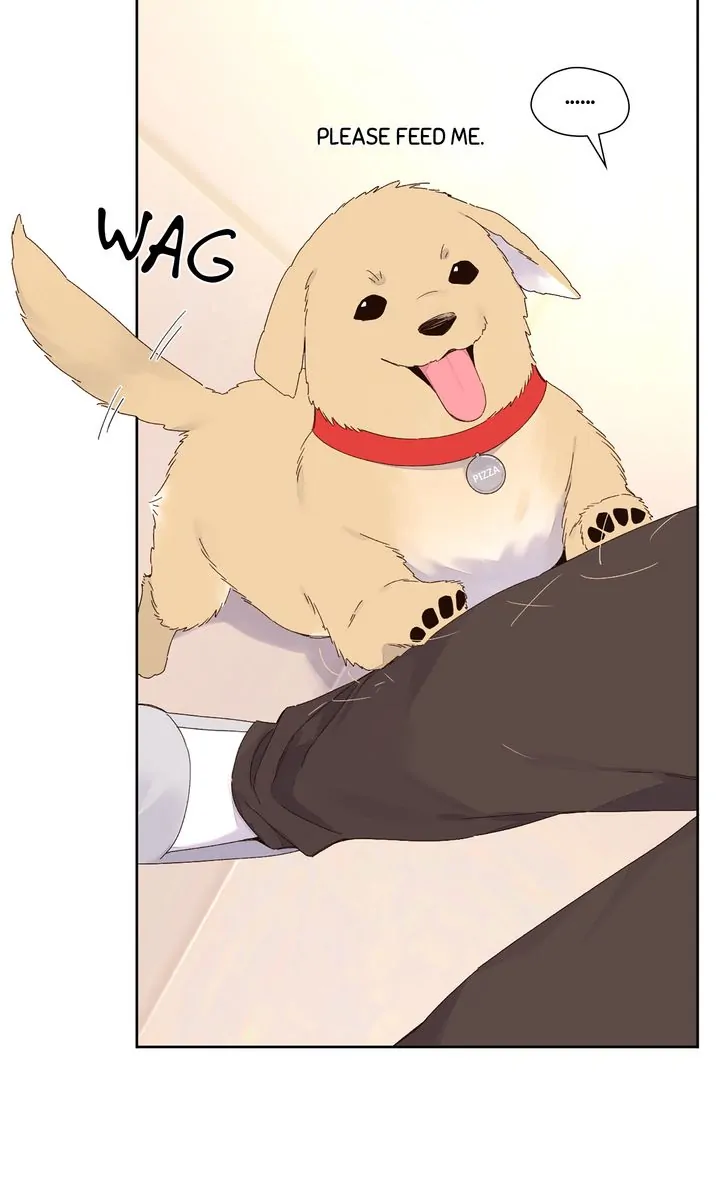 Read 4 Week Lovers chapter 121 image 15 on Lezhin