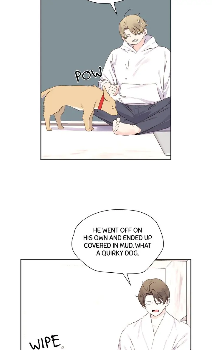 Read 4 Week Lovers chapter 121 image 22 on Lezhin