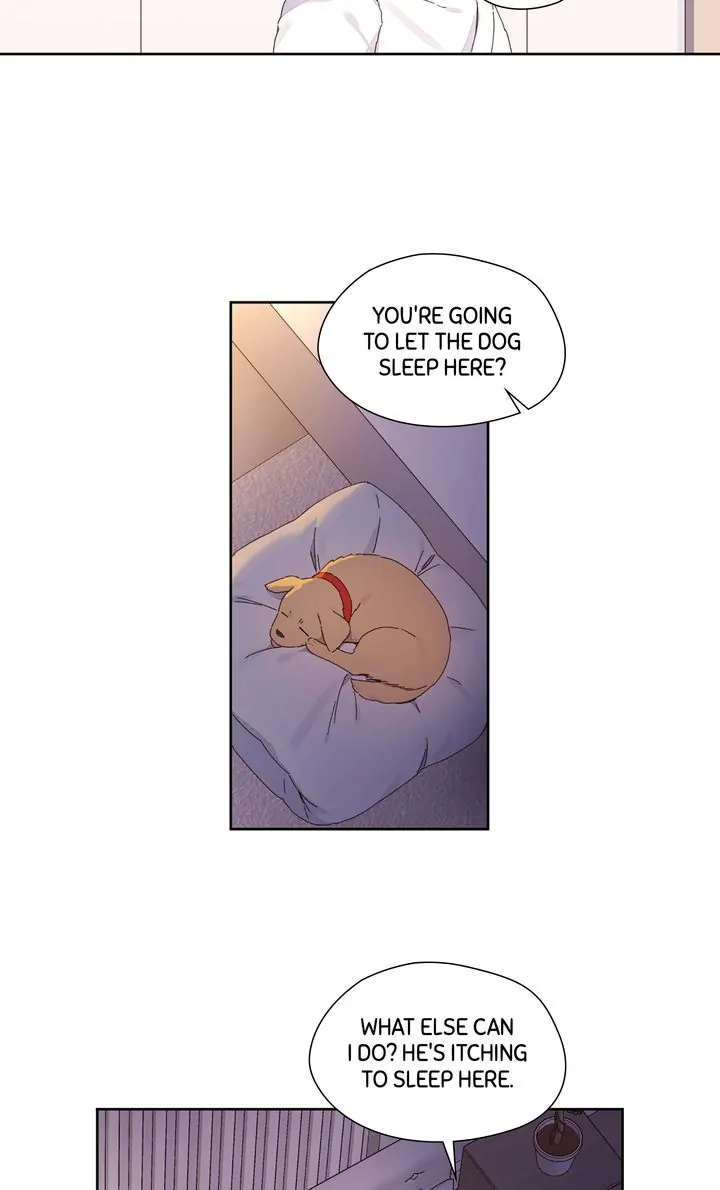 Read 4 Week Lovers chapter 121 image 30 on Lezhin