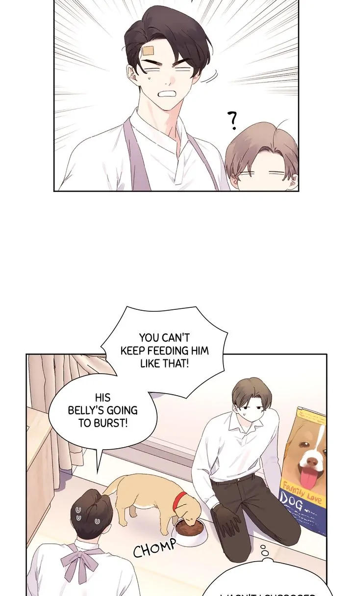 Read 4 Week Lovers chapter 122 image 22 on Lezhin