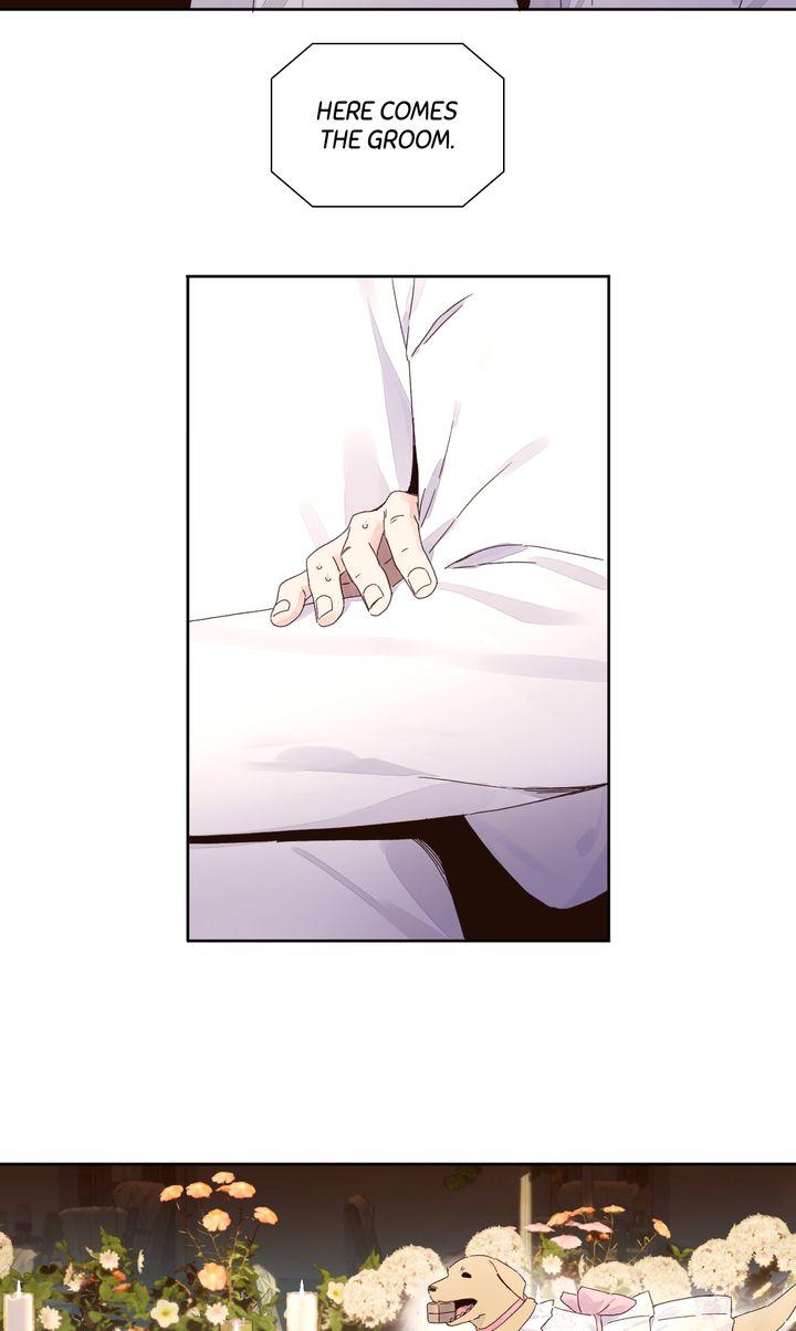 Read 4 Week Lovers chapter 125.1 image 14 on Lezhin