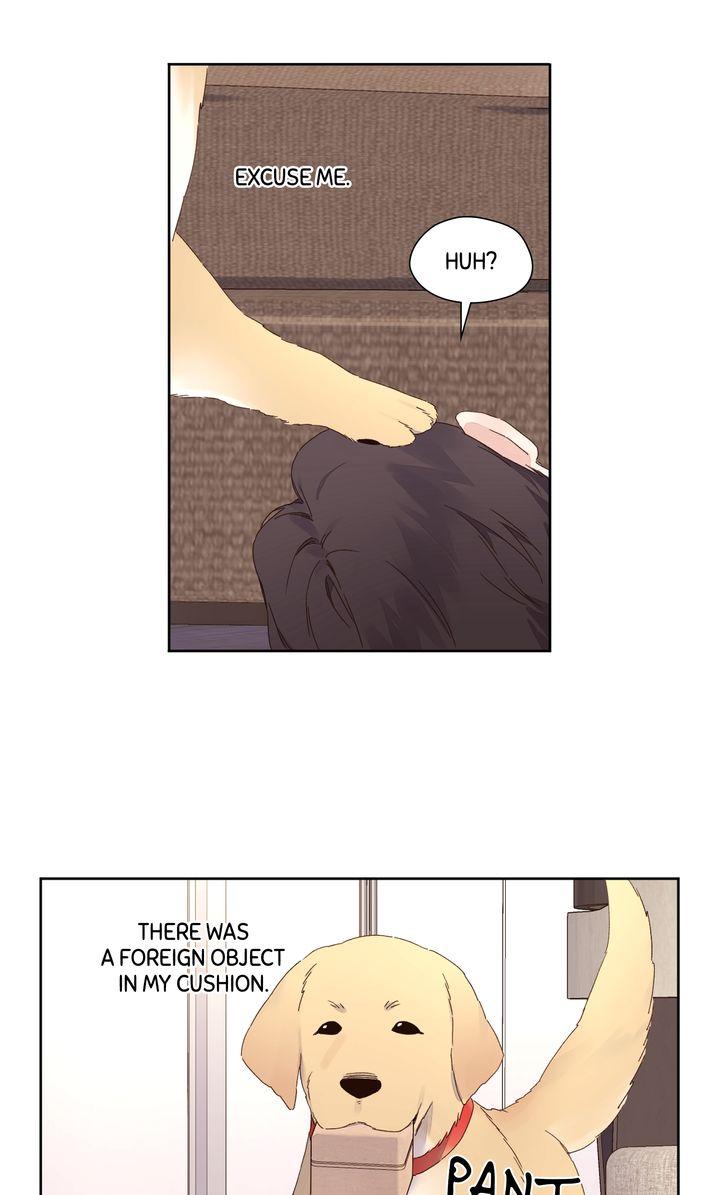 Read 4 Week Lovers chapter 125 image 29 on Lezhin