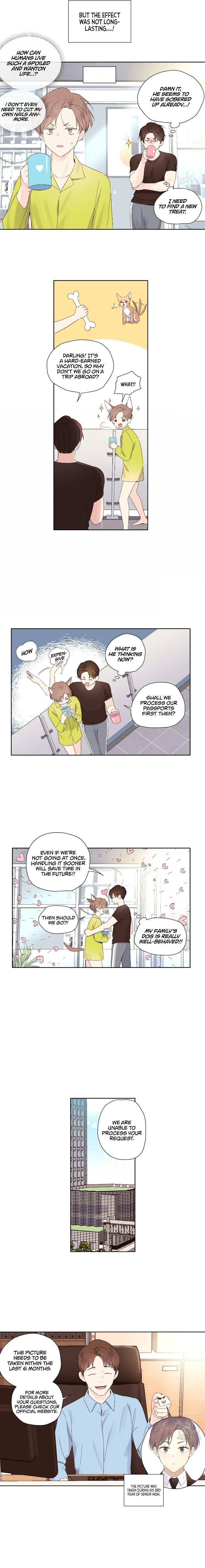 Read 4 Week Lovers chapter 51 image 6 on Lezhin