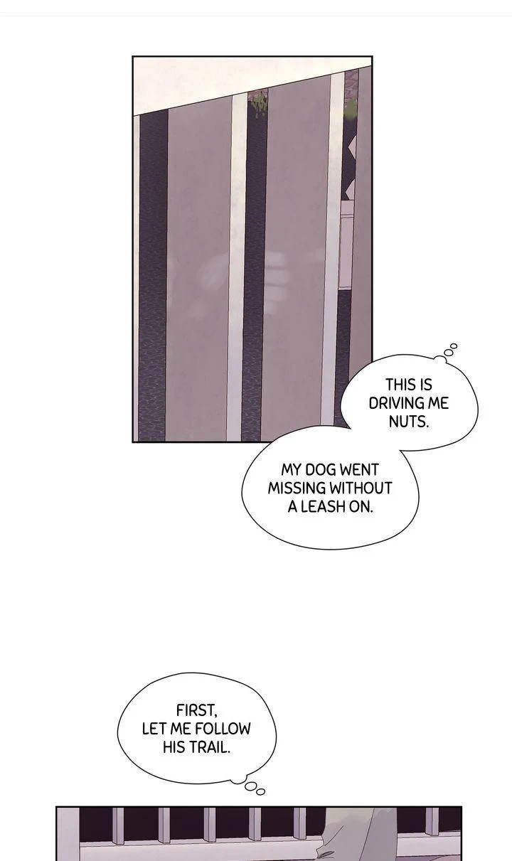Read 4 Week Lovers chapter 84 image 16 on Lezhin