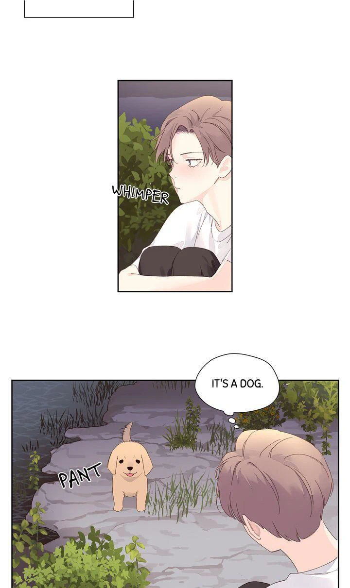 Read 4 Week Lovers chapter 84 image 26 on Lezhin