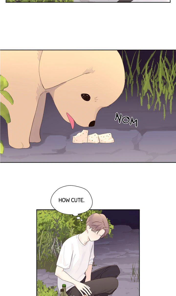 Read 4 Week Lovers chapter 84 image 27 on Lezhin