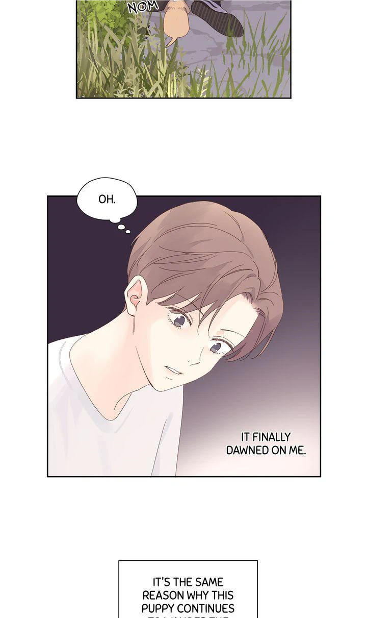 Read 4 Week Lovers chapter 84 image 28 on Lezhin