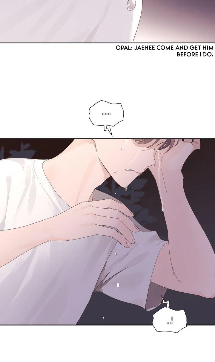 Read 4 Week Lovers chapter 84 image 31 on Lezhin