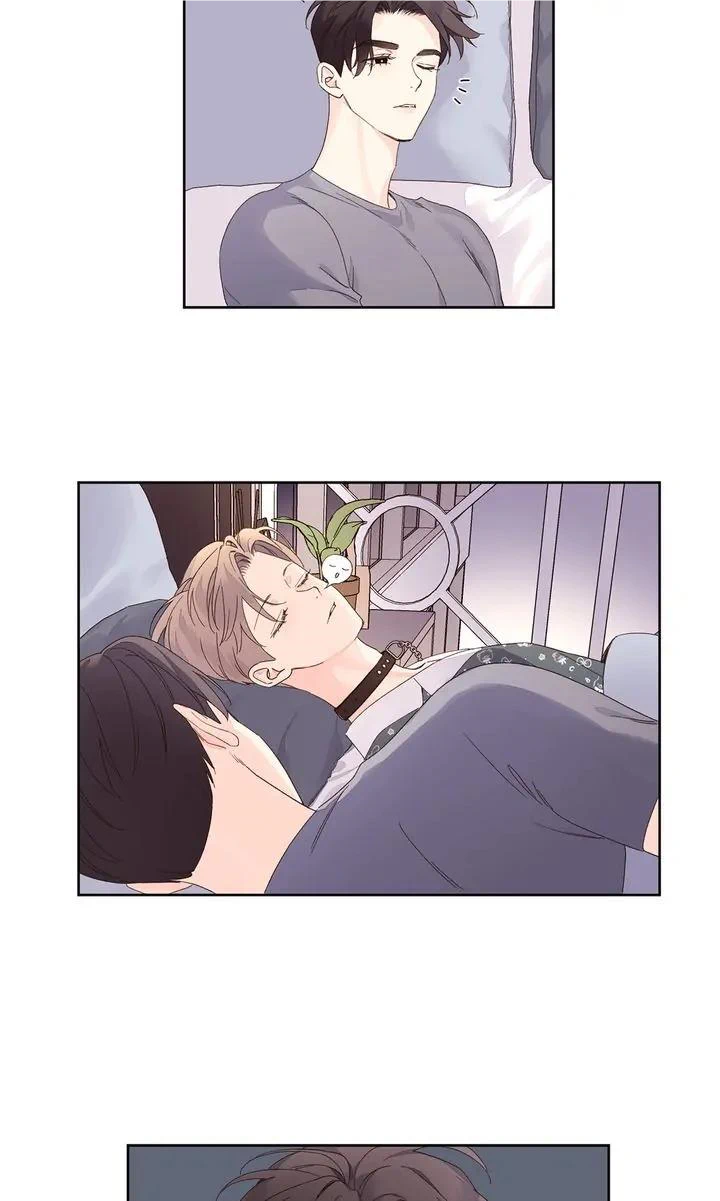 Read 4 Week Lovers chapter 88 image 19 on Lezhin