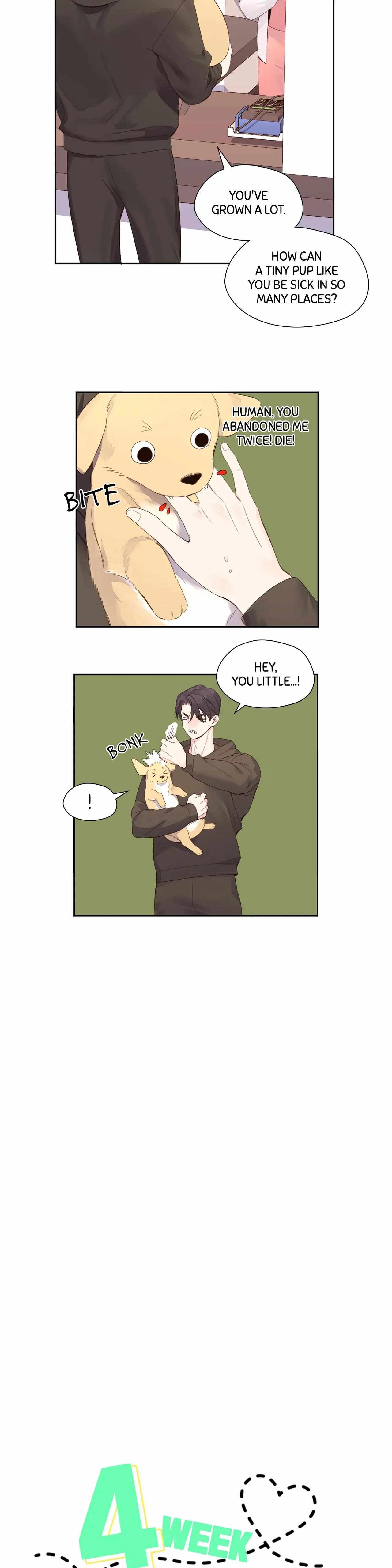 Read 4 Week Lovers chapter 98 image 1 on Lezhin