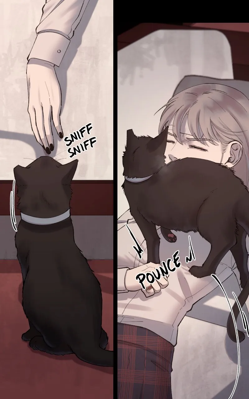 6th Degree Chapter 35 page 19 - 