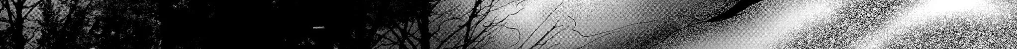 Read 7SEEDS chapter 178 image 97 on Lezhin