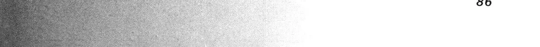 Read 81 Diver chapter 108 image 15 on Lezhin