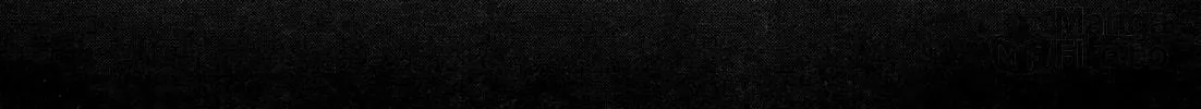 Read 81 Diver chapter 232 image 19 on Lezhin