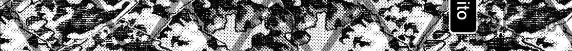 Read 81 Diver chapter 298 image 39 on Lezhin