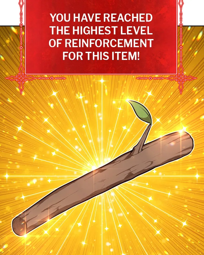 +99 ReinforcedWooden Stick Chapter 1 page 293 - 