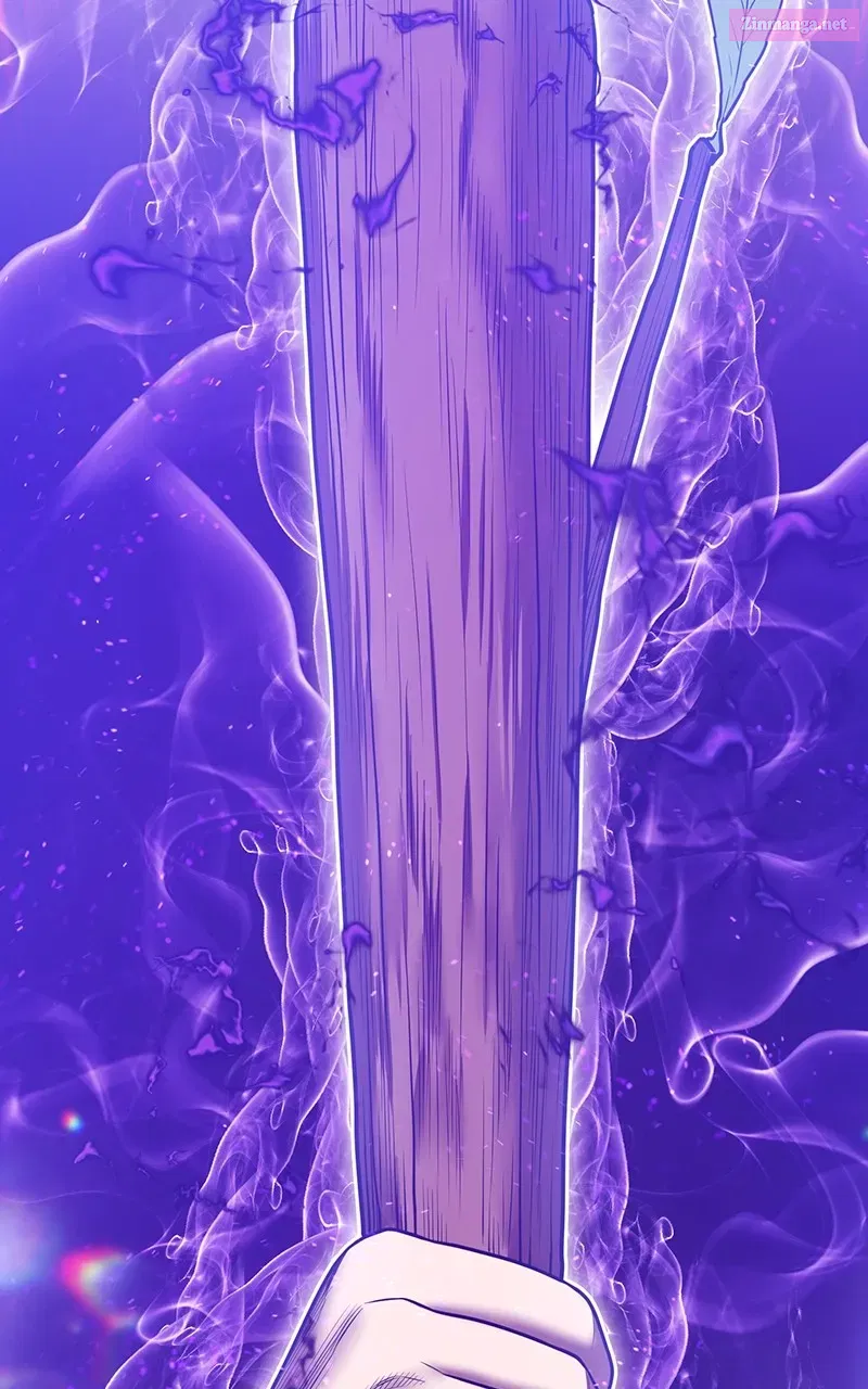 +99 ReinforcedWooden Stick Chapter 138 page 241 - 