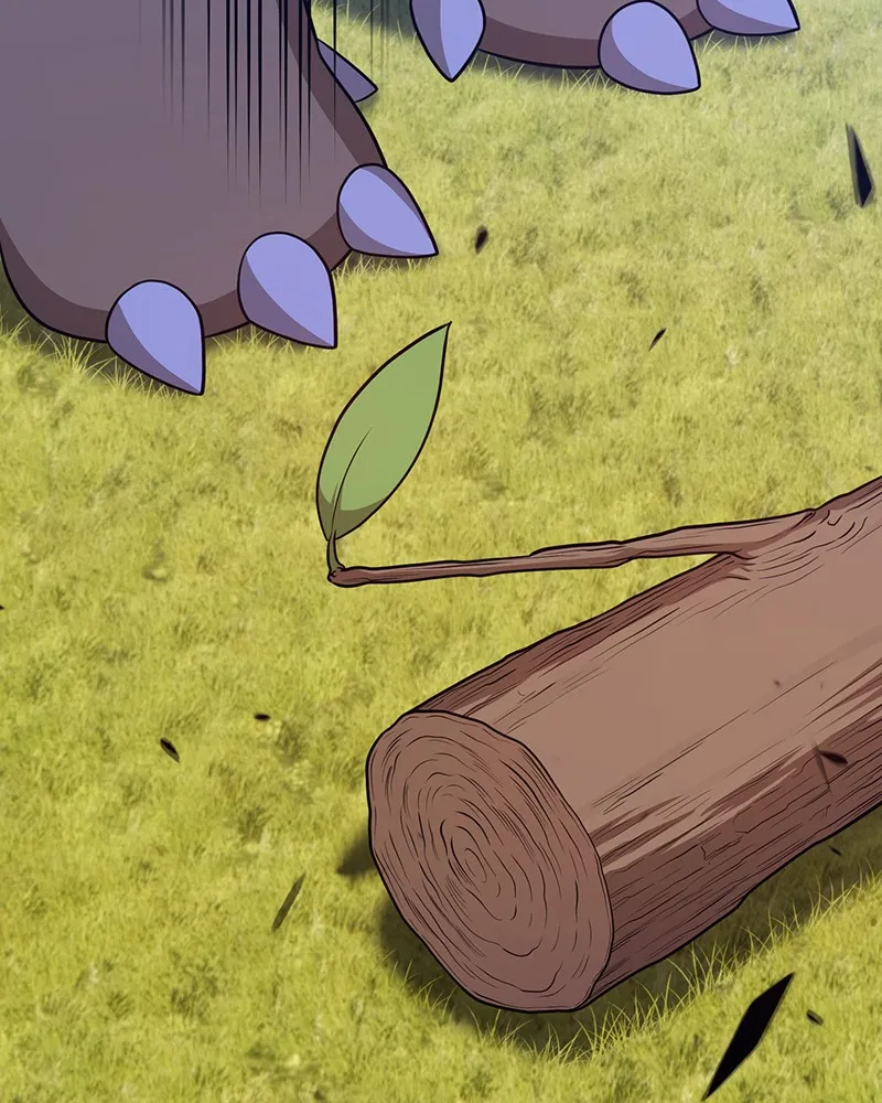+99 ReinforcedWooden Stick Chapter 15 page 371 - 