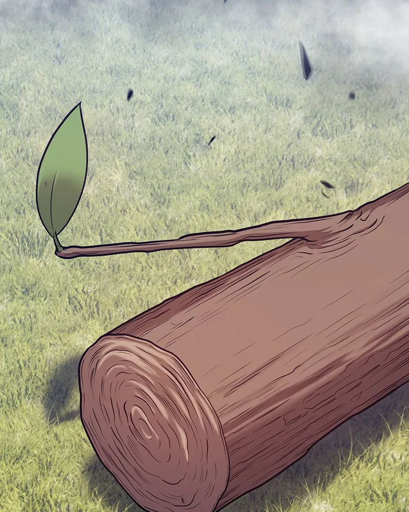 +99 ReinforcedWooden Stick Chapter 15 page 377 - 