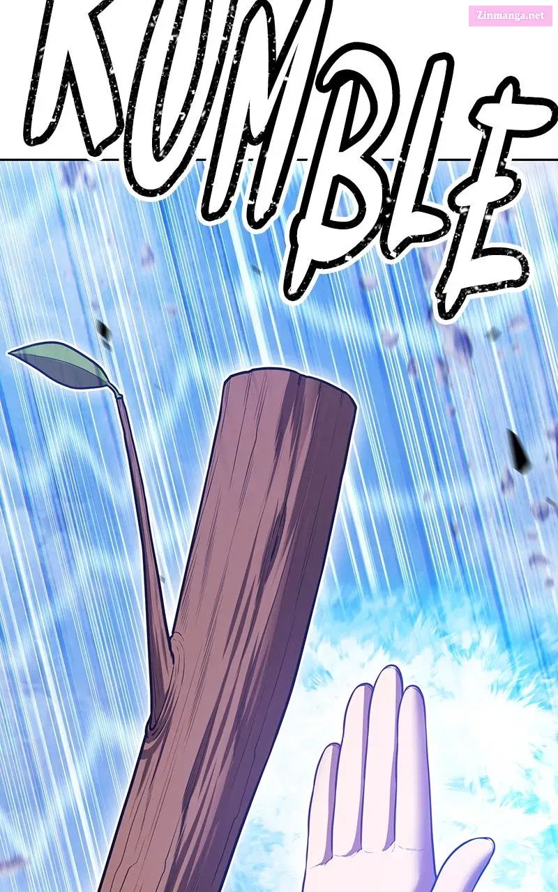 +99 ReinforcedWooden Stick Chapter 163 page 284 - 