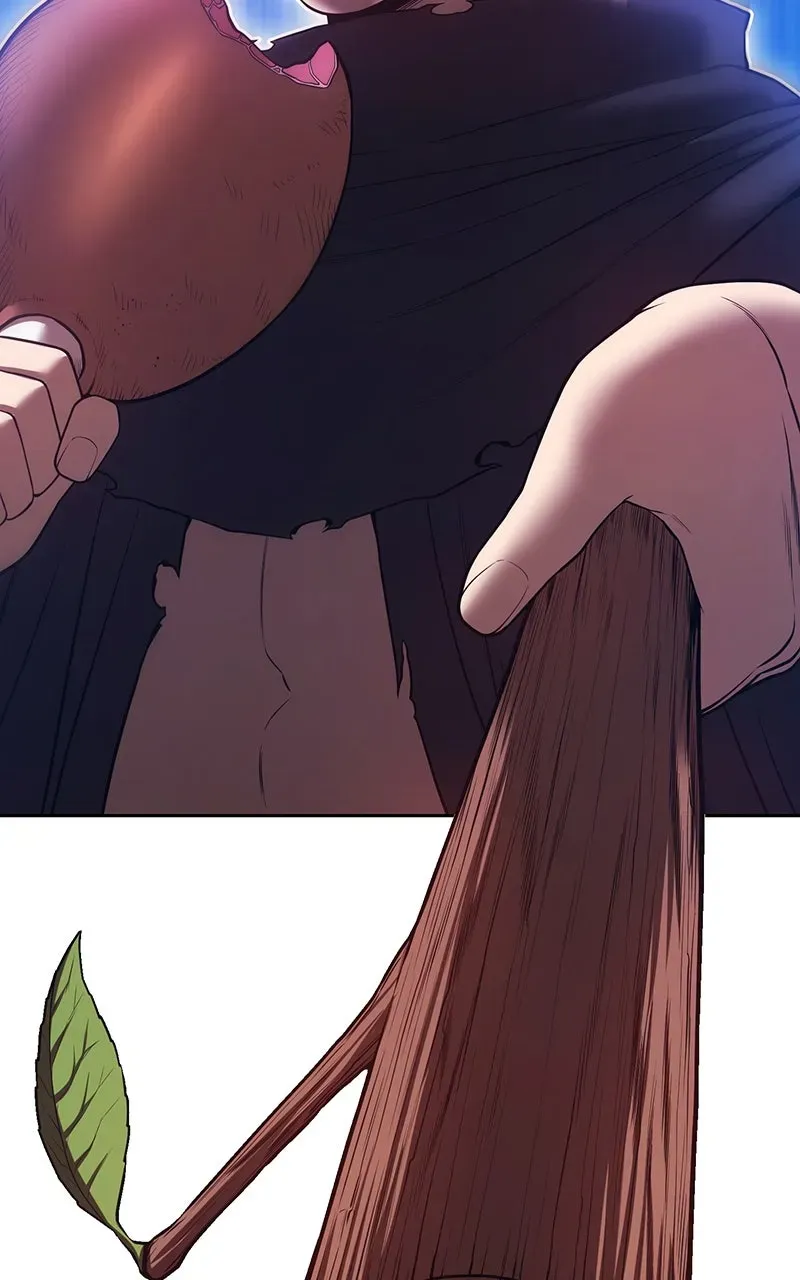 +99 ReinforcedWooden Stick Chapter 197 page 255 - 