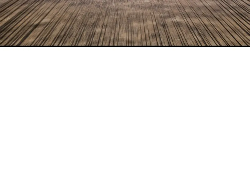 +99 ReinforcedWooden Stick Chapter 3 page 224 - 
