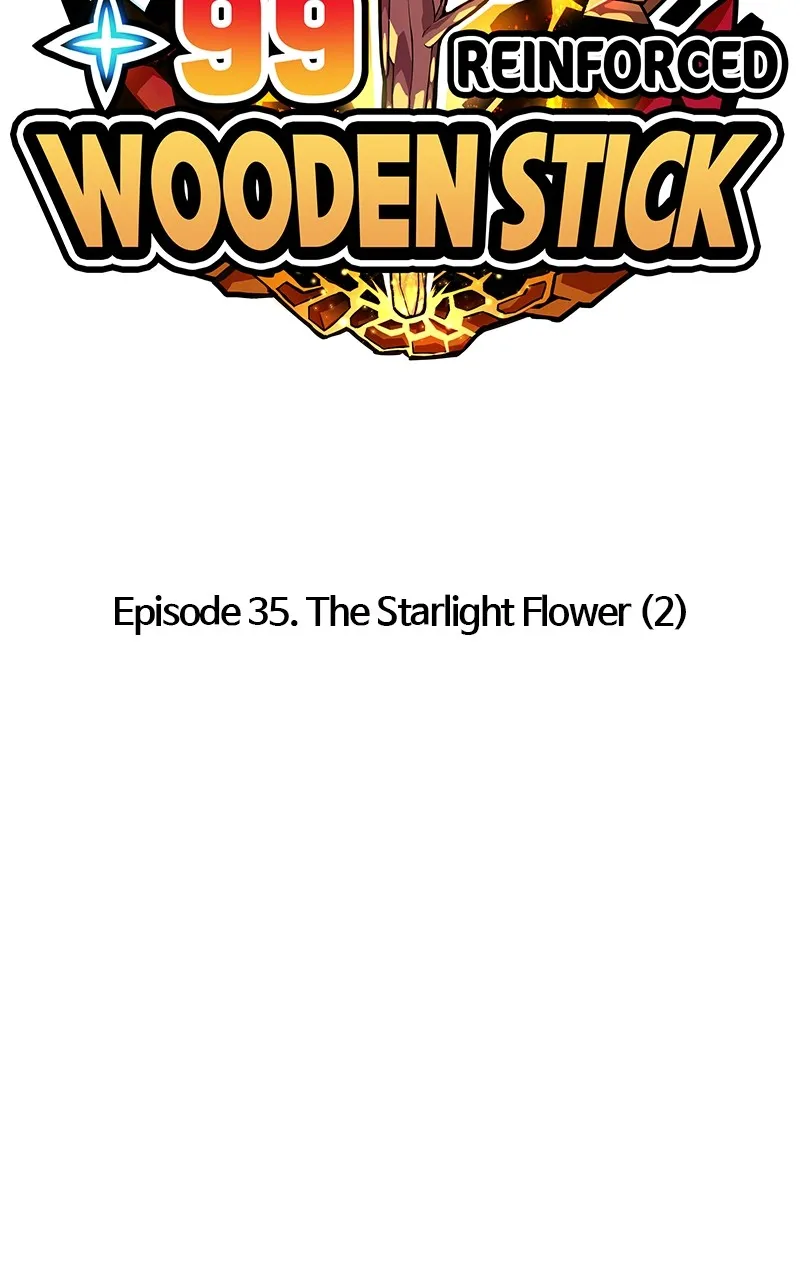 +99 ReinforcedWooden Stick Chapter 35 page 12 - 