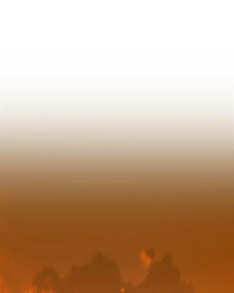 +99 ReinforcedWooden Stick Chapter 4 page 310 - 
