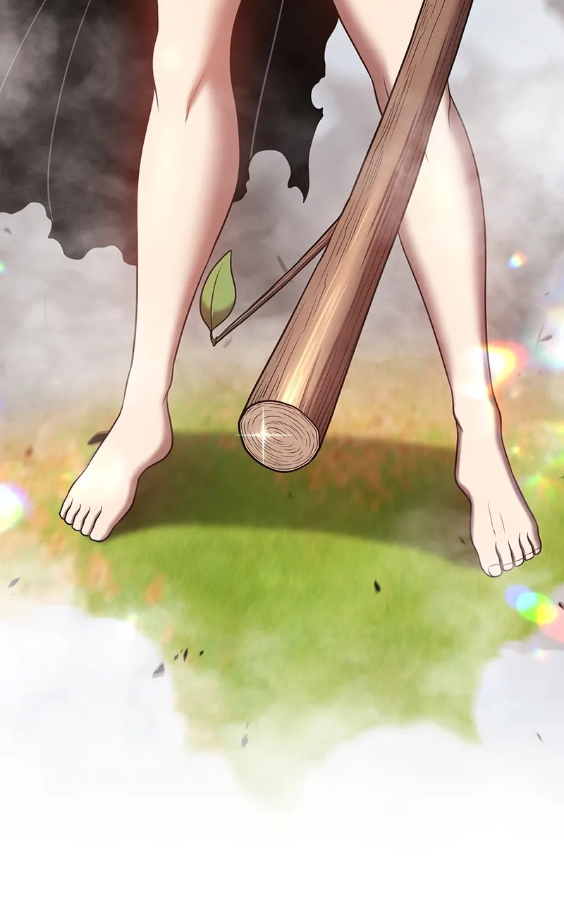 +99 ReinforcedWooden Stick Chapter 44 page 253 - 