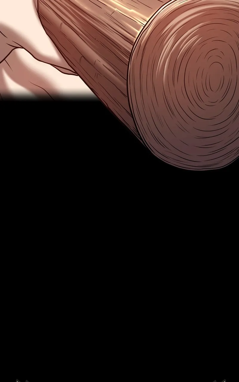 +99 ReinforcedWooden Stick Chapter 53 page 375 - 