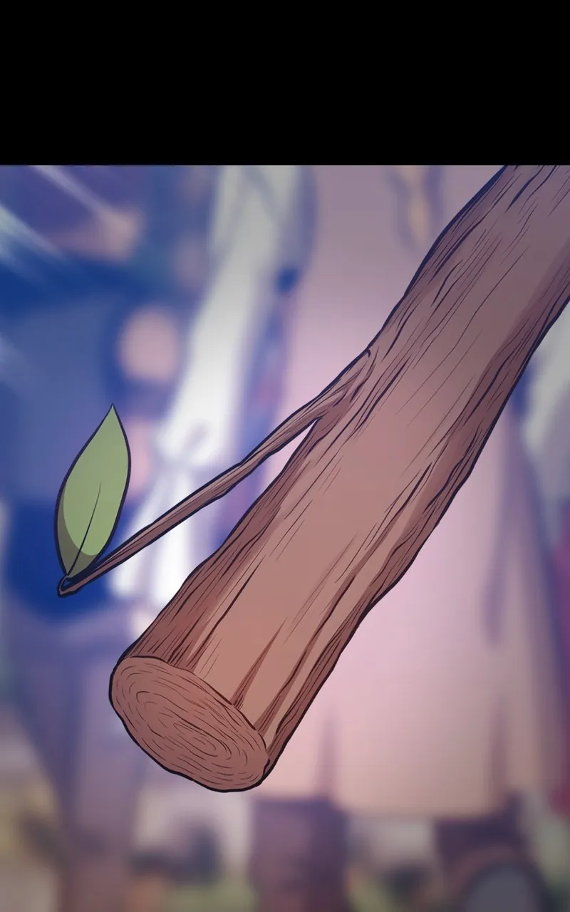 +99 ReinforcedWooden Stick Chapter 61 page 360 - 