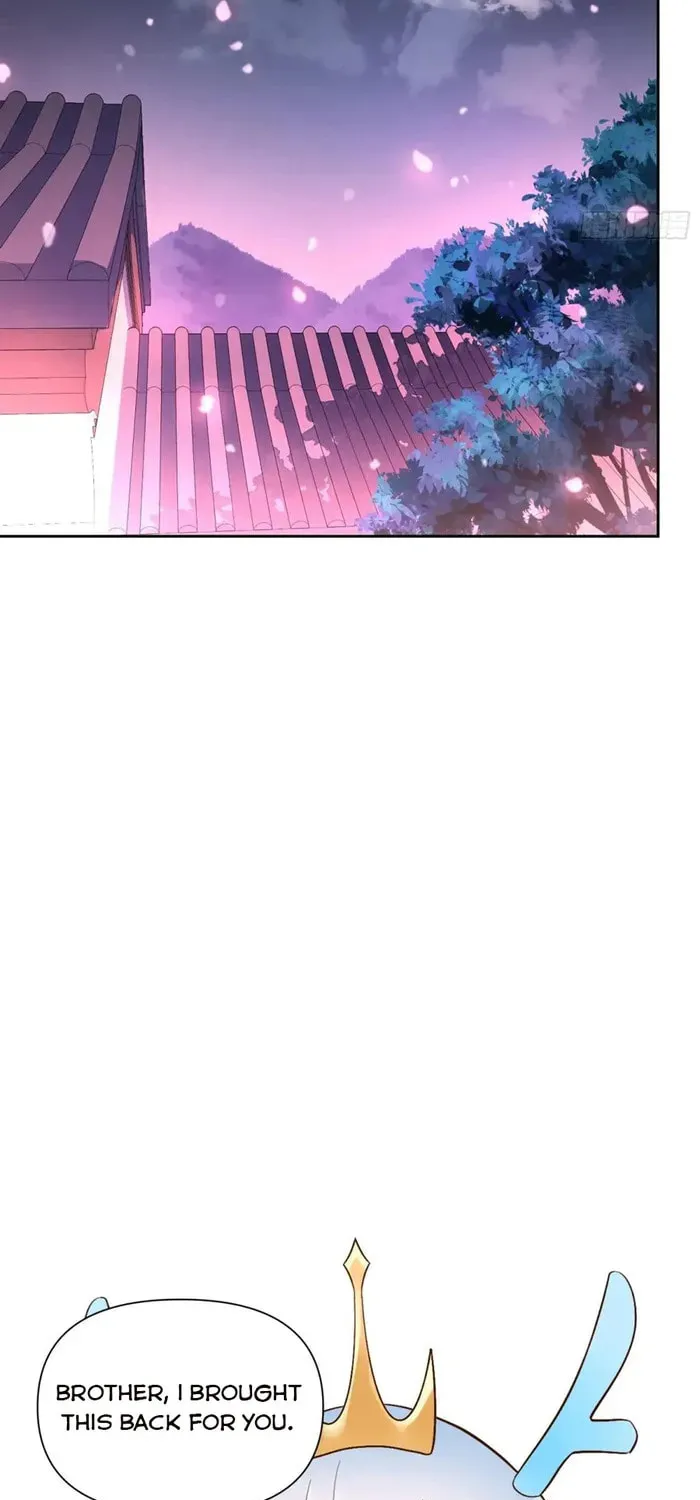 A Big Shot Actually Chapter 524 page 36 - 