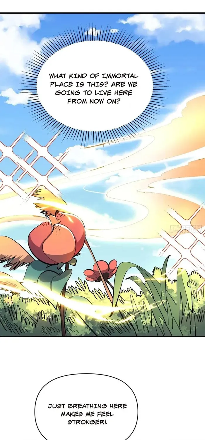 A Big Shot Actually Chapter 528 page 22 - 