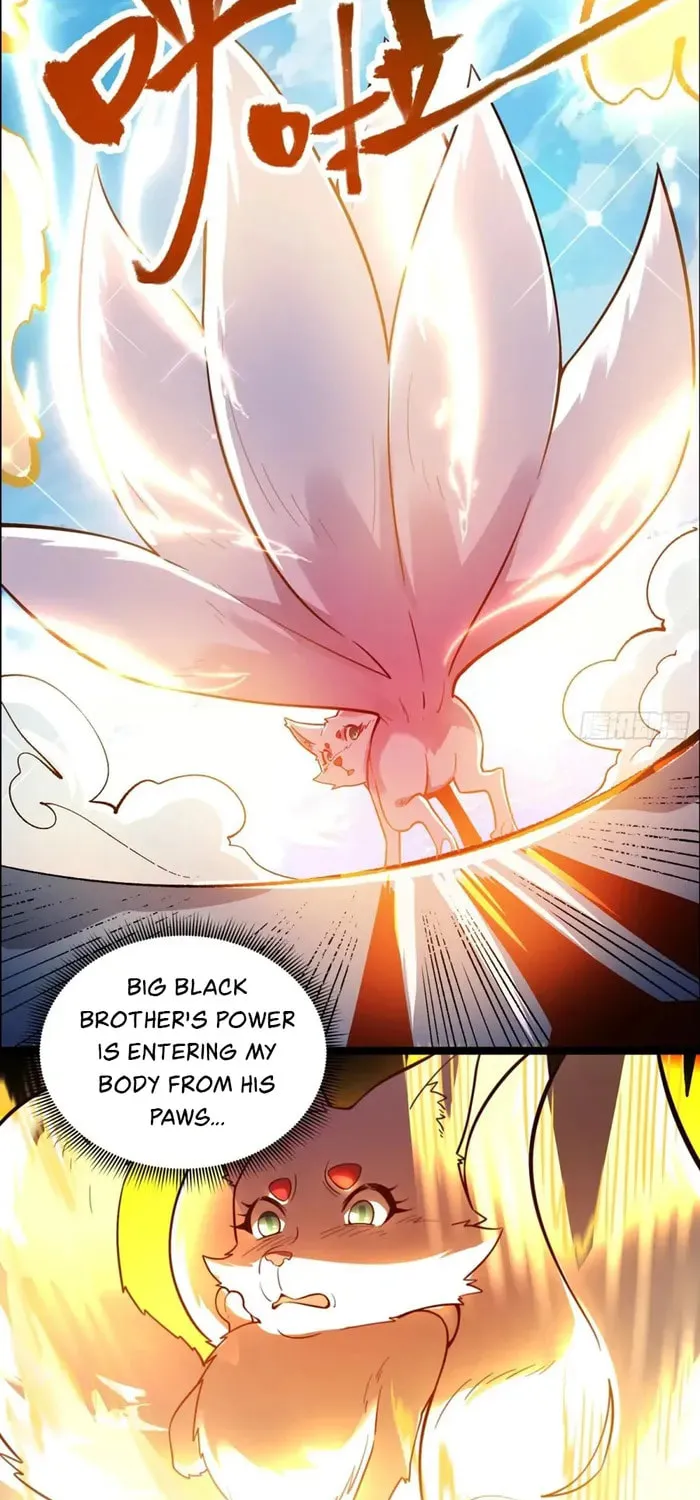 A Big Shot Actually Chapter 543 page 12 - 