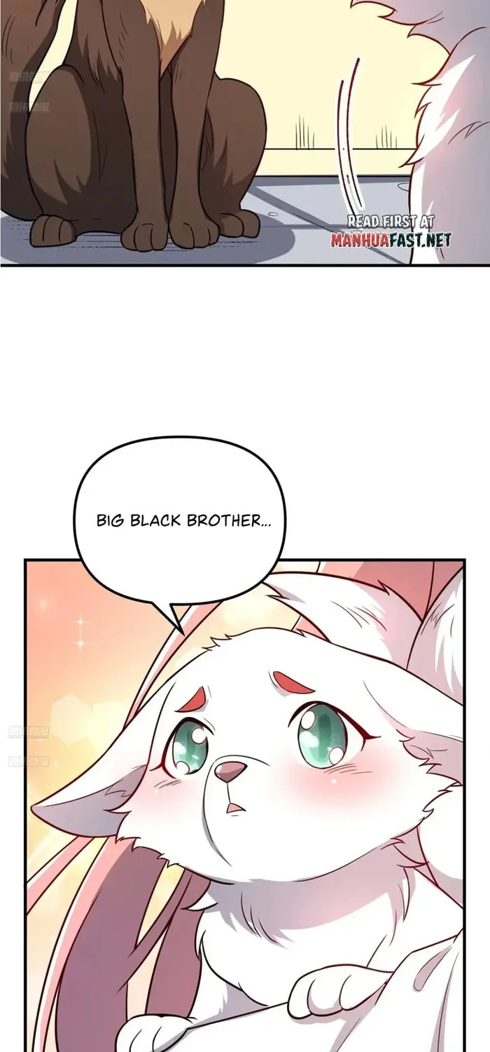 A Big Shot Actually Chapter 543 page 3 - 