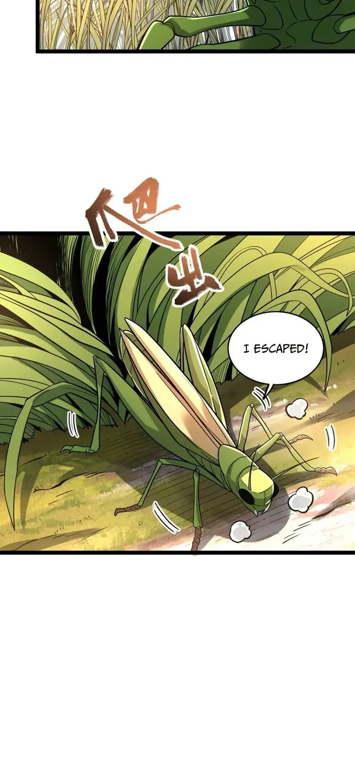A Big Shot Actually Chapter 562 page 35 - 