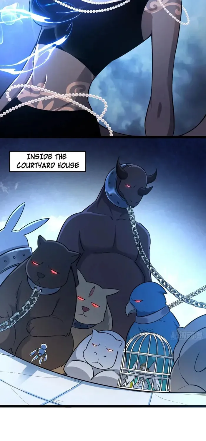 A Big Shot Actually Chapter 568 page 15 - 